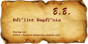 Bálint Begónia névjegykártya